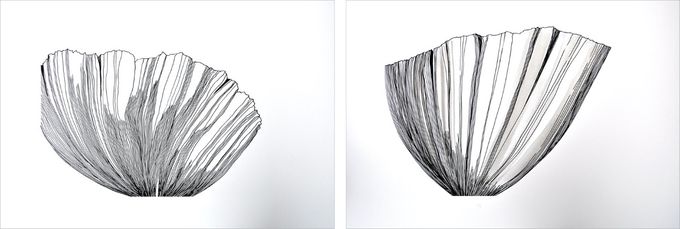 Uden titel (valmue), 2019, tusch på papir, uindr. 56 x 76 cm. - Pr. stk.: 2.800 kr. - Indrammet: 3.500 kr.
